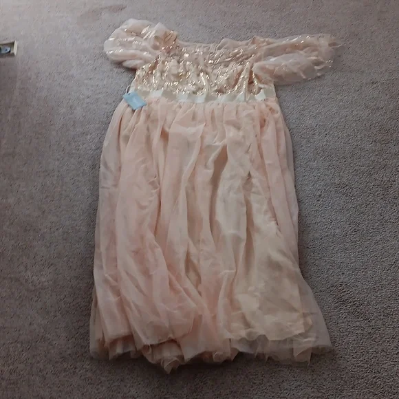 Ever pretty beige color sequin dress - Picture 11 of 11